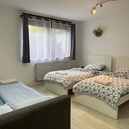 Duesseldorf Messe, 2-Bedroom Duplex Apartment With Terrace And Garden 外观 照片